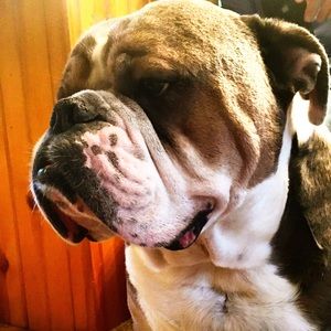 Meet your Posher, Jamie